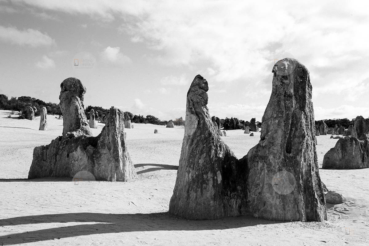 Pinnacles desert - Nambung National Park - Western Australia
