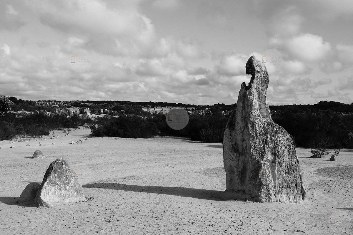 Pinnacles desert - Nambung National Park - Western Australia