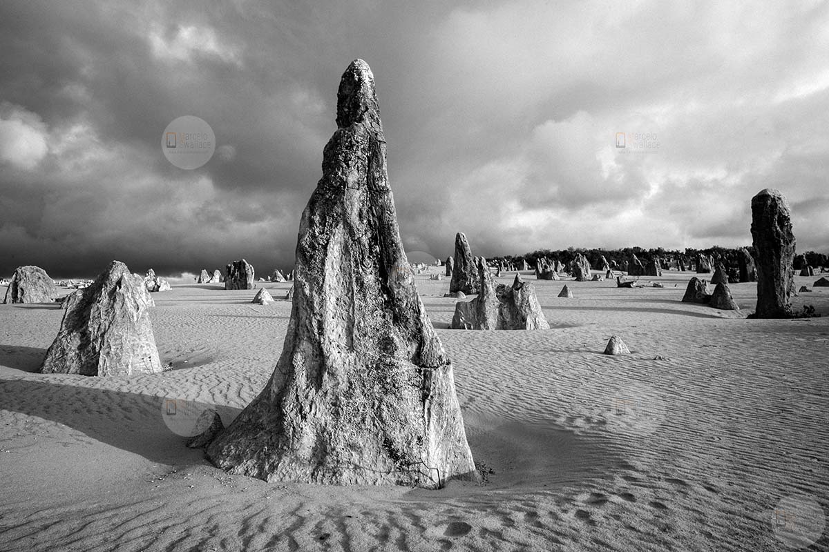 Pinnacles desert - Nambung National Park - Western Australia