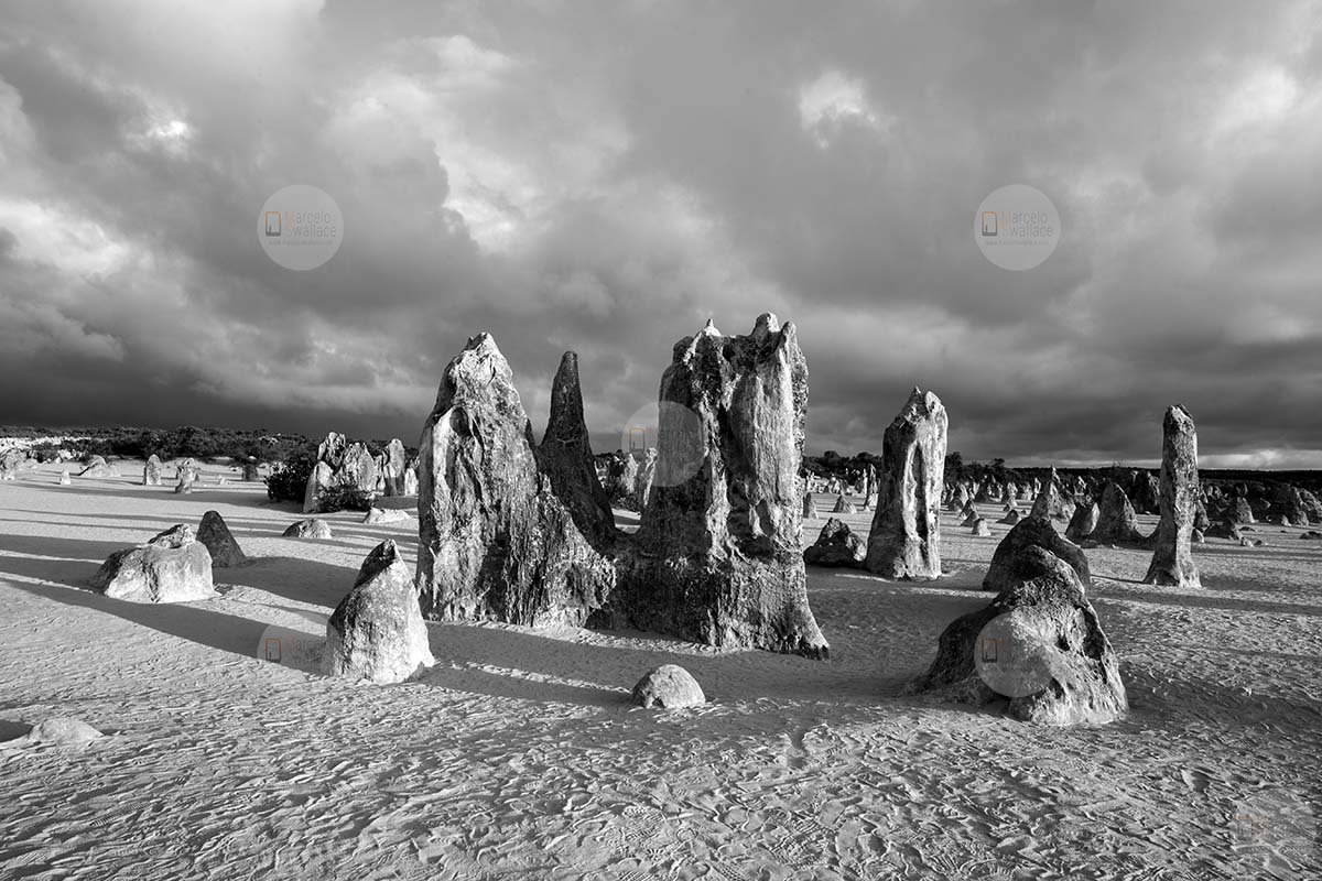 Pinnacles desert - Nambung National Park - Western Australia