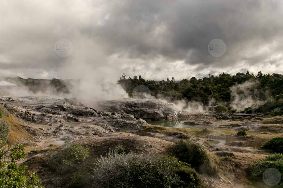 photo travel to new zealand